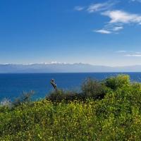 Img 20250222 Wa0037