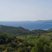 Img 20250315 Wa0042