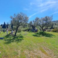 Img 20250322 Wa0125