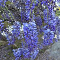 Img 20250405 Wa0019