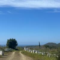 12 04 2025 From Mesochorie To Lovely Ripena
