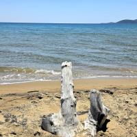 Img 20250503 Wa0026