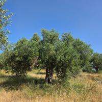 Img 20250510 Wa0016