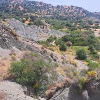 24-05-2025-From-Vasilitsi-through-woods-and-farmland