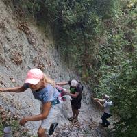 Img 20250913 Wa0012