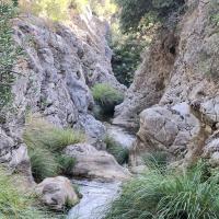 13 09 2025 Alternative Walk Neromilos River Walk 