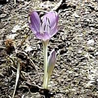 Img 20250913 Wa0095