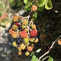 Img 20250913 Wa0120