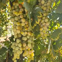 Img 20250920 Wa0025