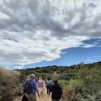 Photo 2025 10 04 15 20 17 5