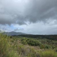 Photo 2025 10 04 15 20 19 4