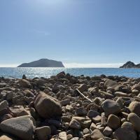 Whatsapp Image 2026 01 24 At 15.05.42