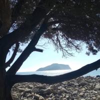 Whatsapp Image 2026 01 24 At 16.08.23