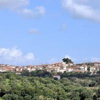 Img 506d563030c474a92fa952d11c062fa4 V