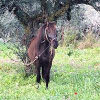 Img 8a1390224085ca75fb536009f6dc2c86 V