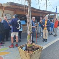 Img A1131a7224c47d4121c6828fd5183302 V