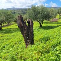 Img Bd3d7b8df28bf91a9a52c71c0e95f13b V