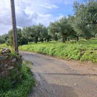 Img C02f2fb07d2c57ba34b95babdfc7c042 V