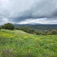 14 03 2026 Zizani Klisoura