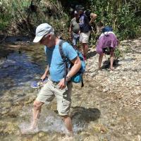 Img 0b3c4f487e4f8f36f25776bb0924f698 V