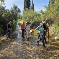 Img 11b4af26878689b30b3e68250f842168 V