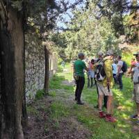 Img 2253840acc2662591742f2e970bb10cb V