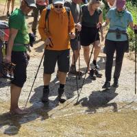 Img 66ebf31455ef17b772aec5aa28b3cb62 V