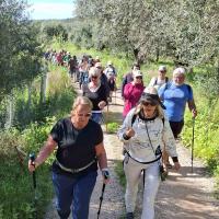 Img 9bced3066e976dedfffa8fb92000aff2 V