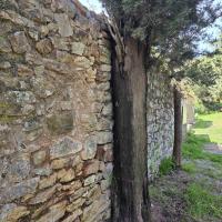 Img Bb6e08efbf2ca027caa4aa52145d16b2 V