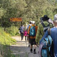 Img D6e91c9858daf2cf217c792851c20ad4 V