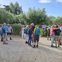 Img 121797e4a2041c06bb7b8a8749e1fd3e V