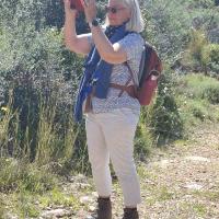 Img 2501ee51113ae7da136a8c2a0533d3b0 V