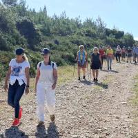 Img 2d34b1faa96ea6c92fd837b84018a073 V