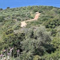 Img 60d0e02490c0fb1a7a232e9908cf02d7 V