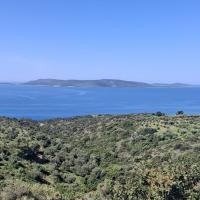 Img 62f9abdde4b0341fabbab1b9fd70aa41 V