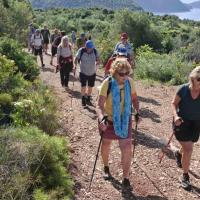 Img 85851ade2ca7a8248ac73dcf3660b1a1 V