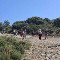 Img 99316d8dc89a4aa6c020e2f25e4b98fb V