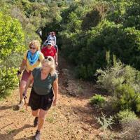 Img 9b42d9cb14d53943ec01c980014096a0 V