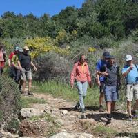 Img Ddb9d7c0af645cfae440d31a40751706 V