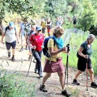 Img F447bc6f6b7255ffd92b5164f4019180 V