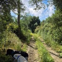 Img 20260502 Wa0005