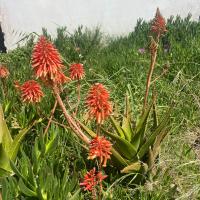 Photo 2026 05 09 16 18 59 2