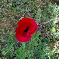 Photo 2026 05 09 16 19 16 3