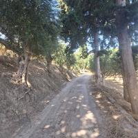 Img 10212cf20a00a579ce91bf58eceb4462 V