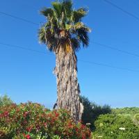 Img 20260613 Wa0055