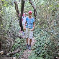 Img C67122ac4e374ad76437f3b0fa1ff05f V