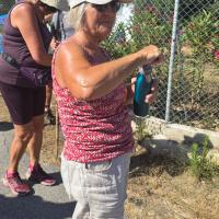 Photo 2026 06 20 16 36 05
