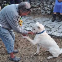 Img 20260701 Wa0034