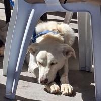 Img 20261003 Wa0038