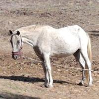 Img 20261010 Wa0015